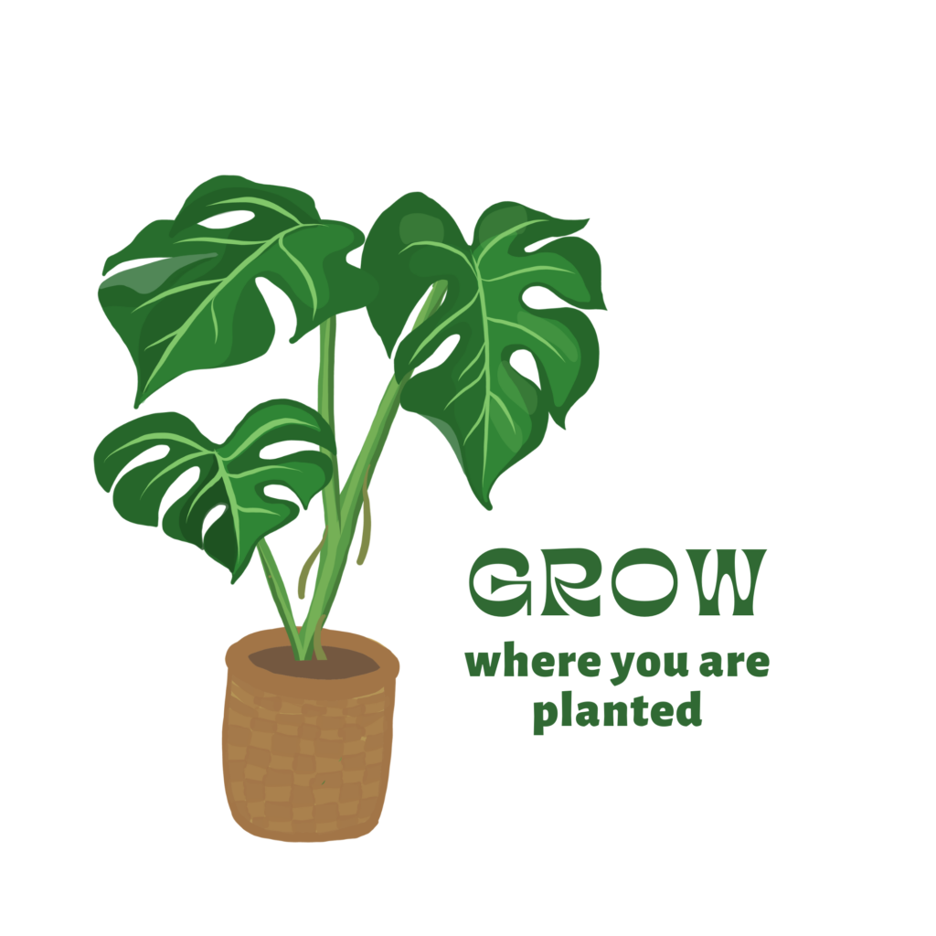 grow bag